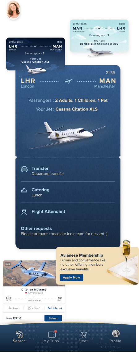 Avianese day and night flight cards, membership, aircraft and navigation