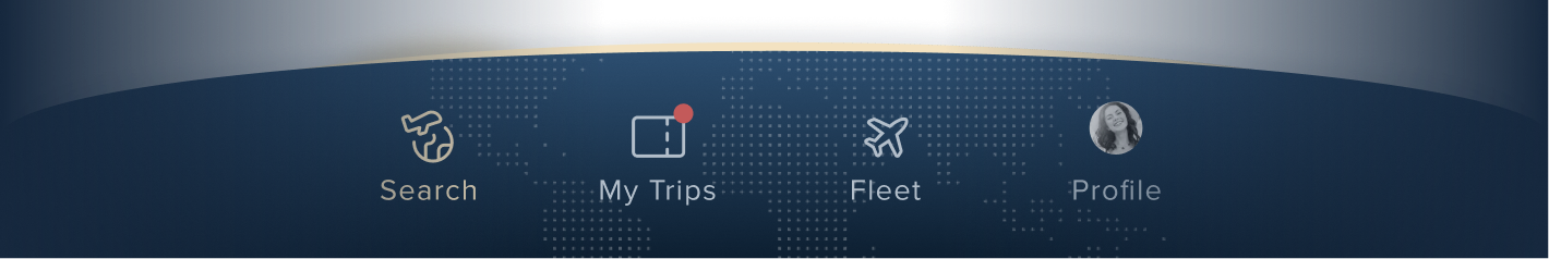 Avianese app navigation